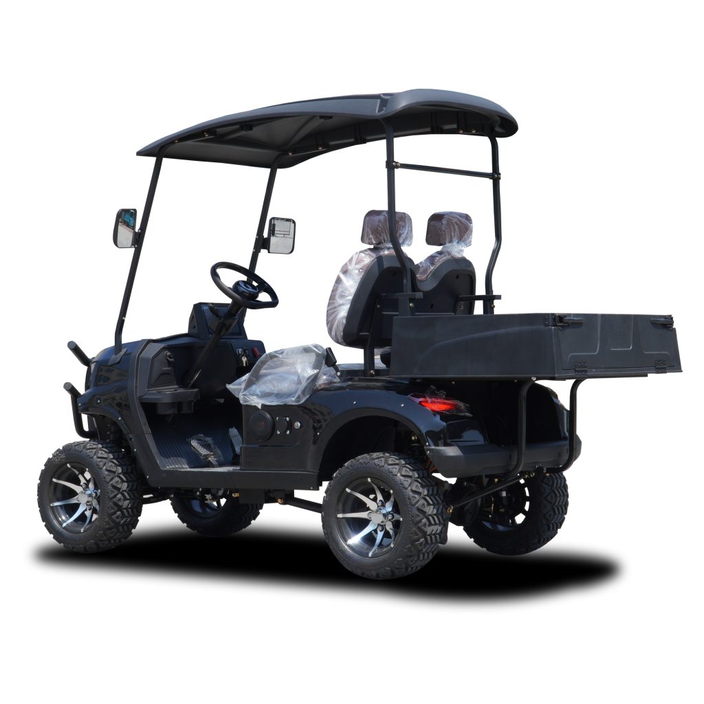 C 2 Seater Golf Cart