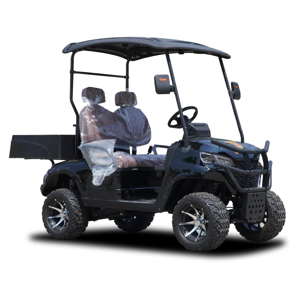 C 2 Seater Golf Cart