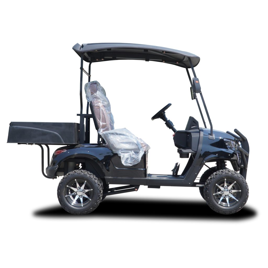 C 2 Seater Golf Cart